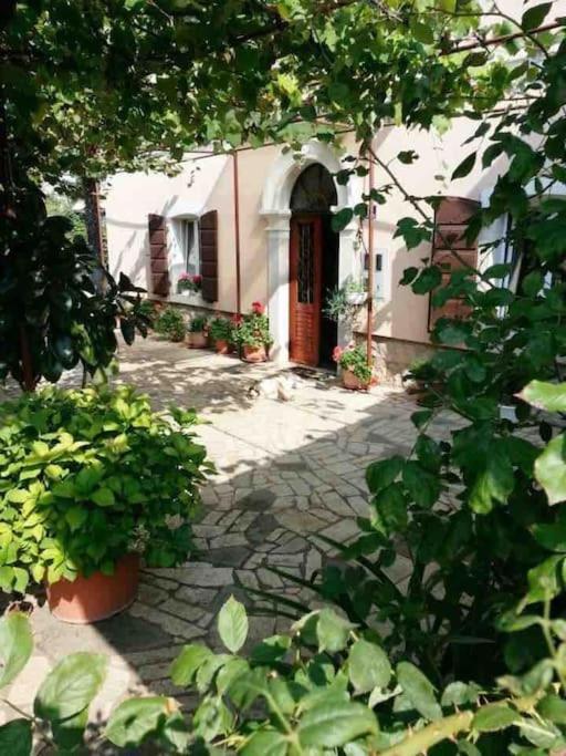 New Renovated Appartment Mauri Poreč Exterior foto